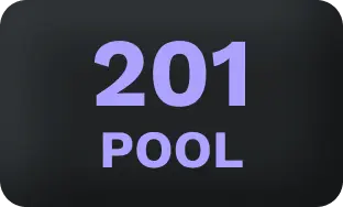 201 Pool Game